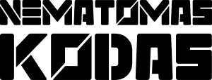 Nematomas kodas